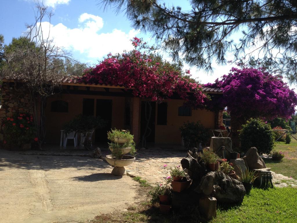 Il Ruscello Villa SantʼAnna Arresi Cameră foto